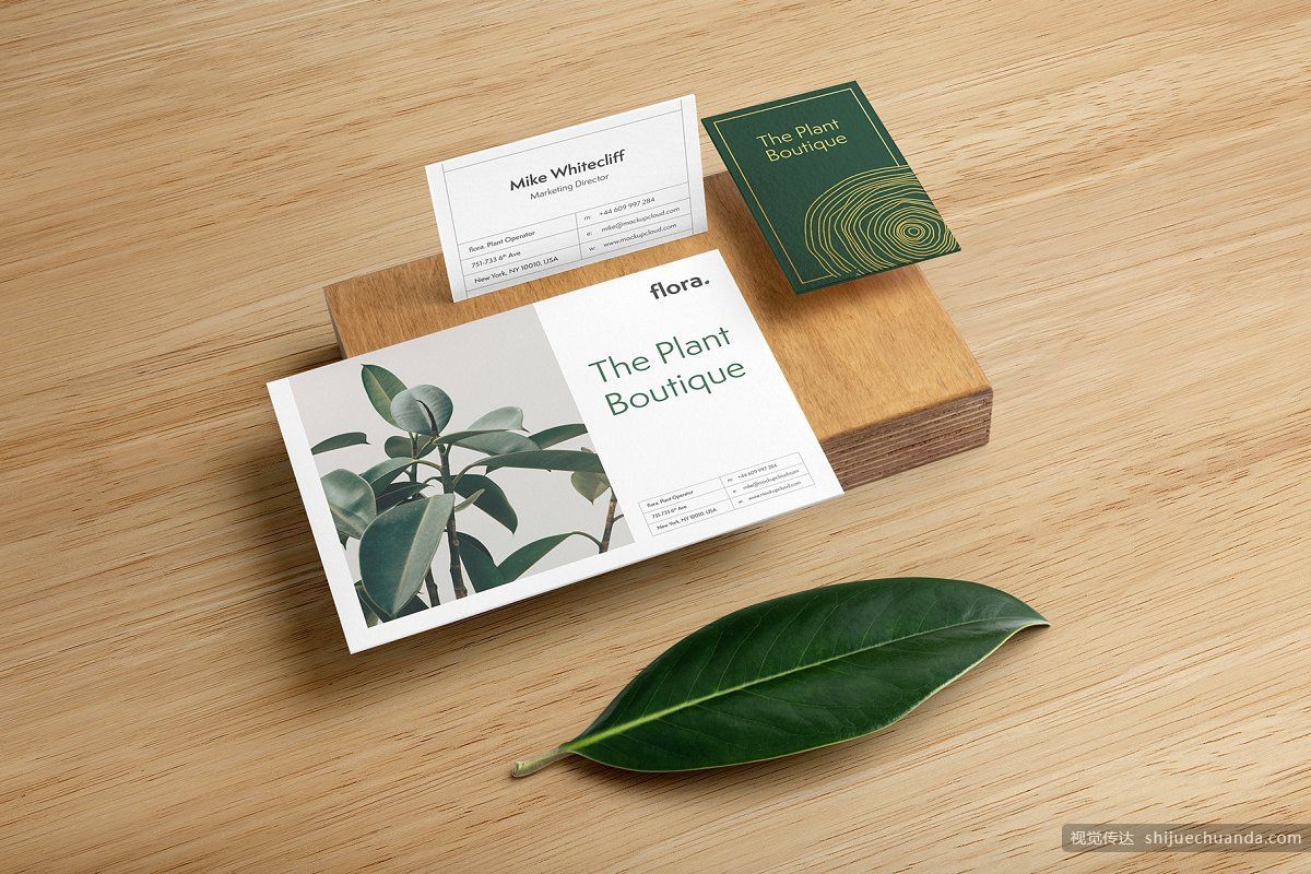 高端植物系品牌样机 Flora Branding Mockup