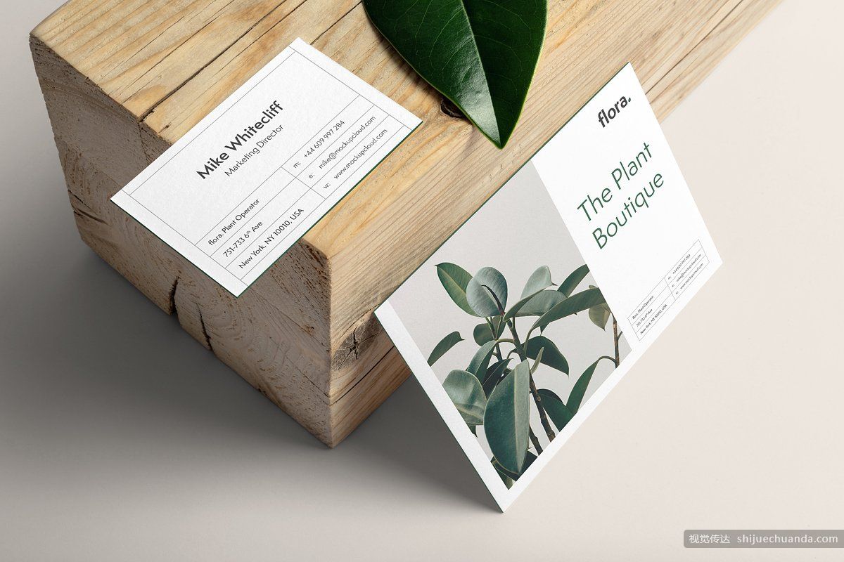 高端植物系品牌样机 Flora Branding Mockup