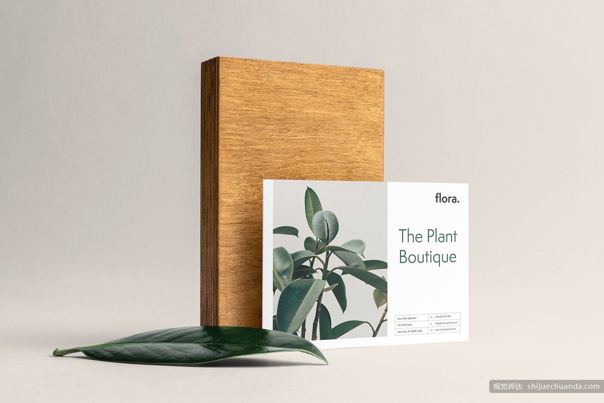 高端植物系品牌样机 Flora Branding Mockup