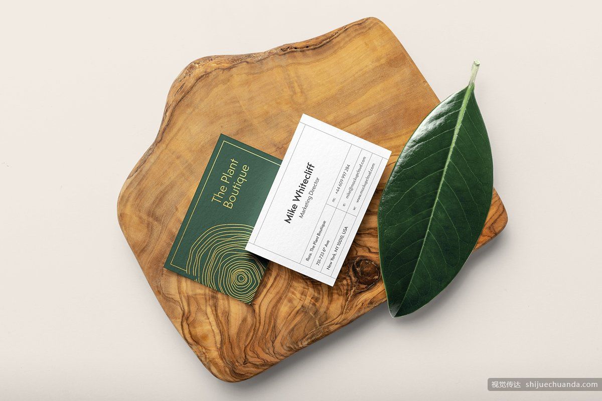 高端植物系品牌样机 Flora Branding Mockup