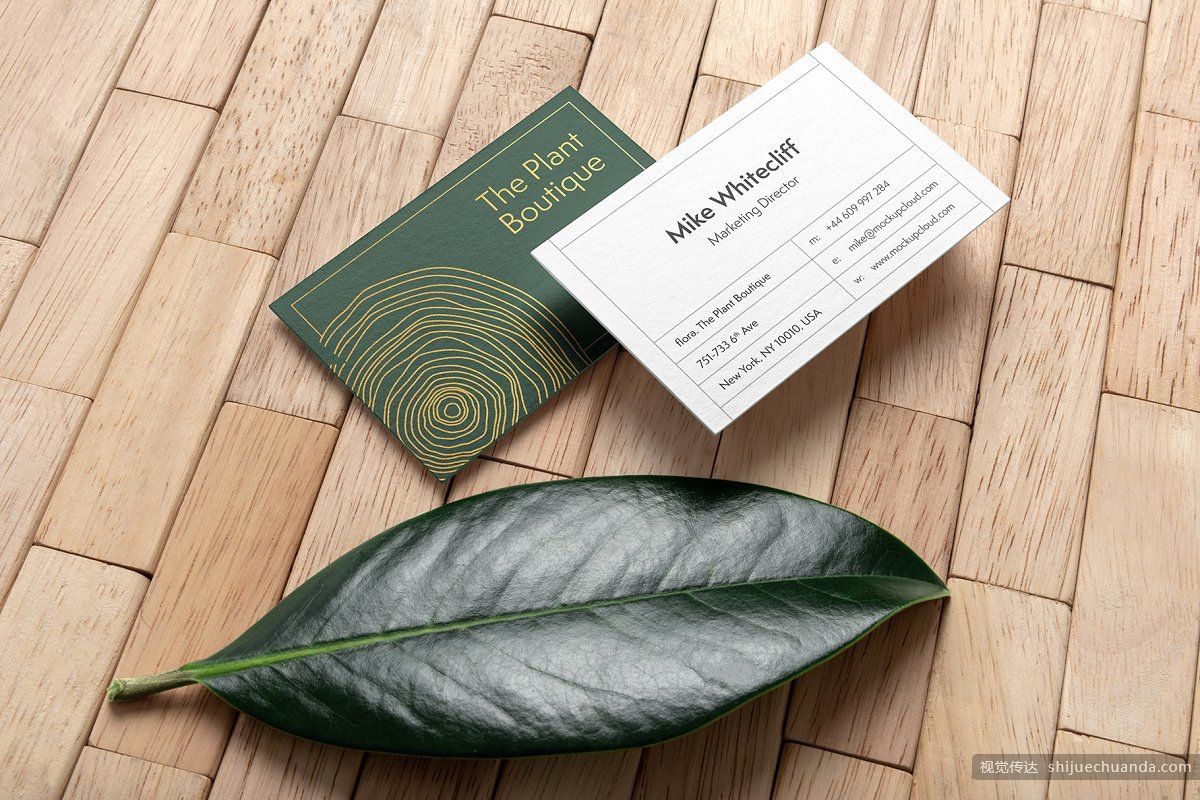 高端植物系品牌样机 Flora Branding Mockup