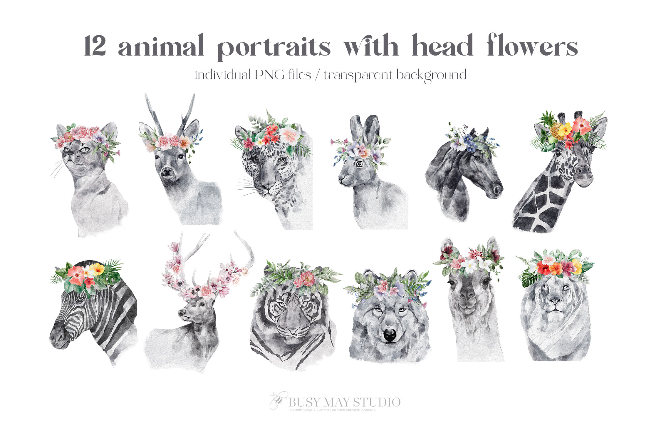 水彩动物肖像和花朵PNG透明素材