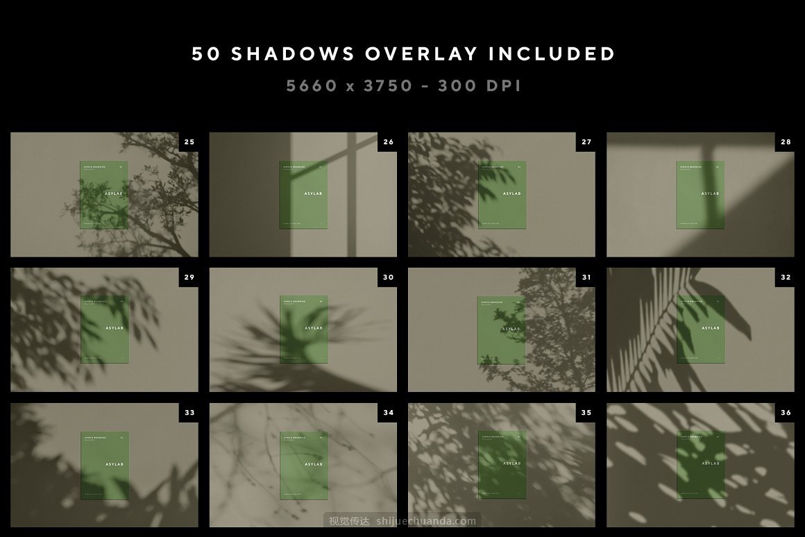 自然阳光植物光影品牌设计提案样机PSD模板