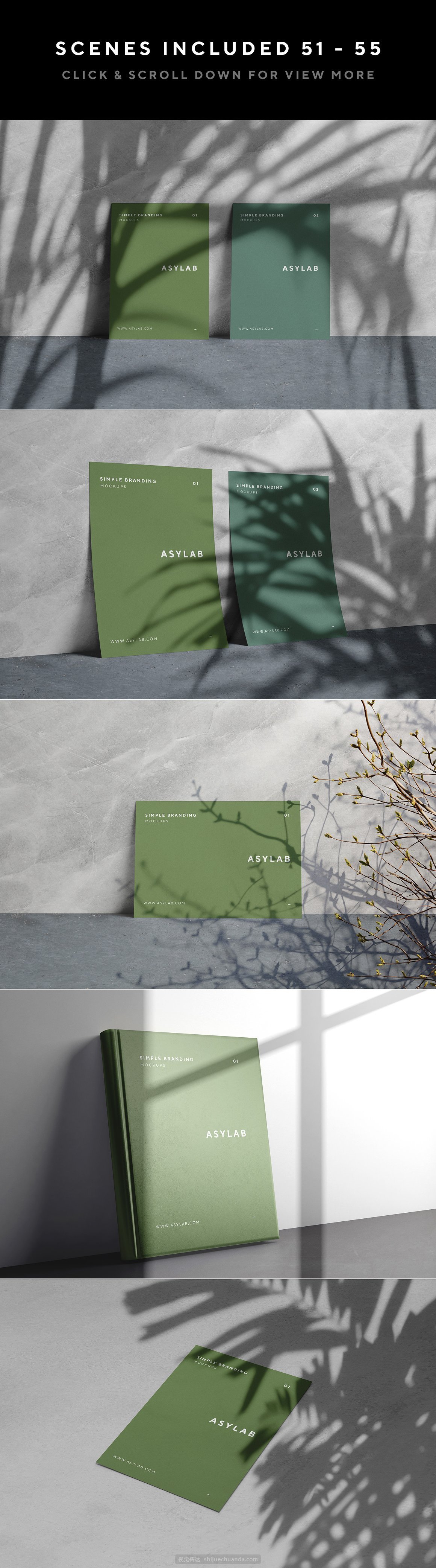 自然阳光植物光影品牌提案样机模板